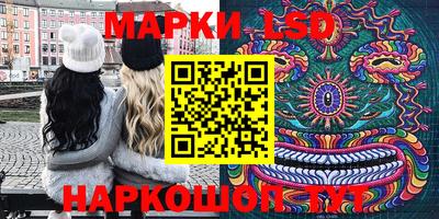 стаф Краснодар