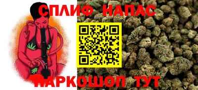 гидропоника Краснознаменск