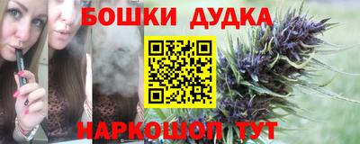 стаф Краснодар