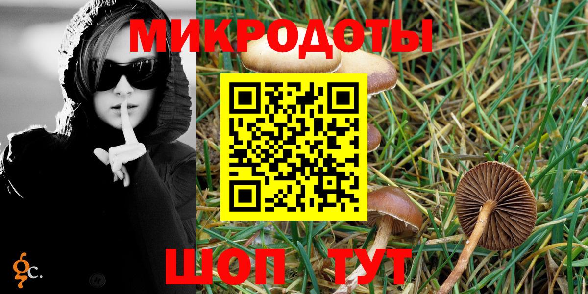 Псилоцибиновые грибы мицелий Киров